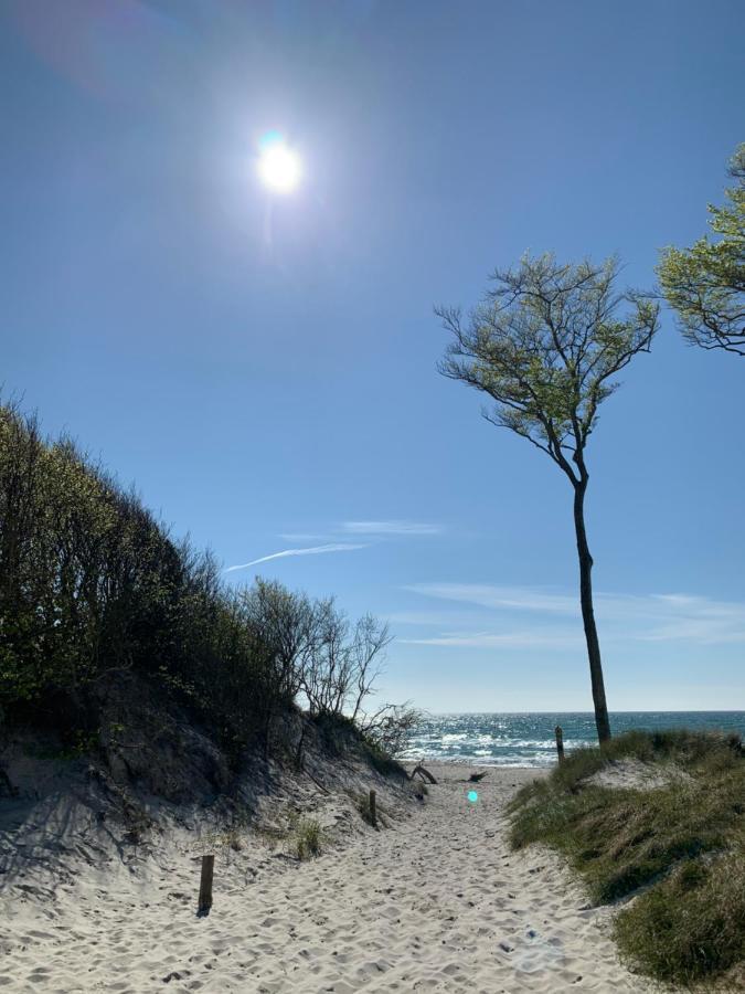 Ferienwohnung Strandgut - Kavelweg 9 - Zingst Dış mekan fotoğraf